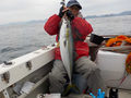 釣船　キティ 釣果
