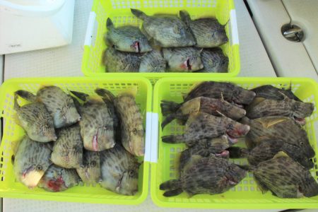 KIM Fishing Guide Ser…