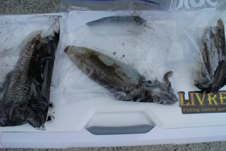 KIM Fishing Guide Ser…