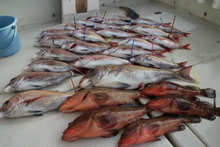 KIM Fishing Guide Ser…