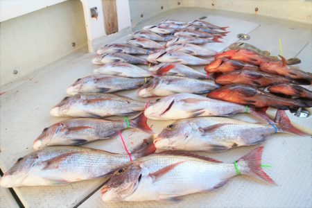 KIM Fishing Guide Ser…