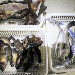 KIM Fishing Guide Service 釣果