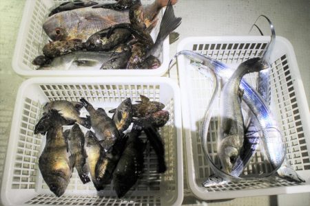 KIM Fishing Guide Ser…