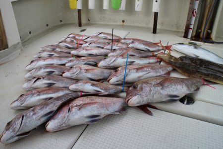 KIM Fishing Guide Ser…