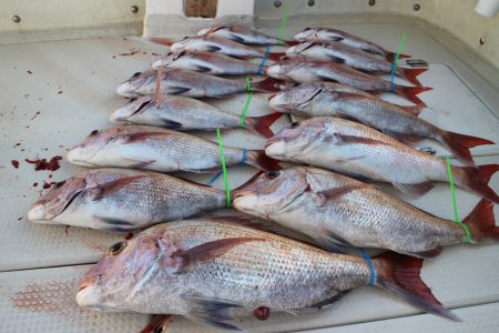 KIM Fishing Guide Ser…