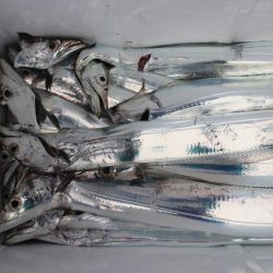 KIM Fishing Guide Service 釣果