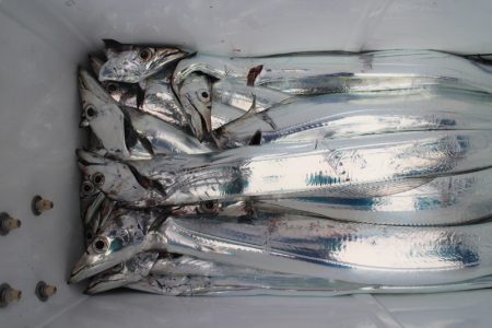 KIM Fishing Guide Ser…