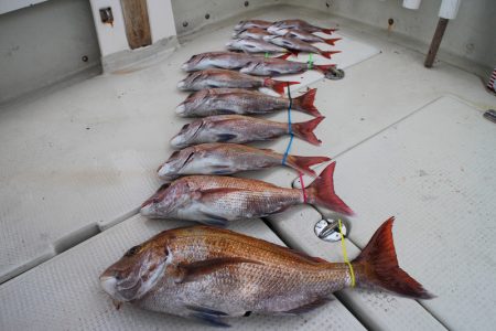 KIM Fishing Guide Ser…