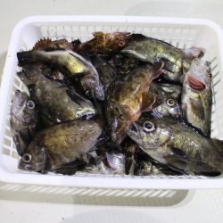 KIM Fishing Guide Service 釣果