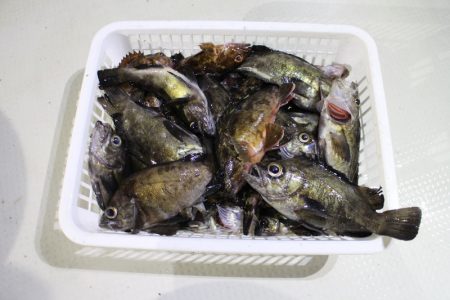 KIM Fishing Guide Service 釣果