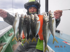 七福丸 釣果