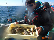 七福丸 釣果