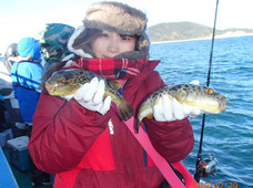 七福丸 釣果