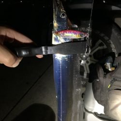 フォール・光・音でしっかりアピール　【LUMICA（ルミカ）メタルジャッカーSJ　インプレッション】