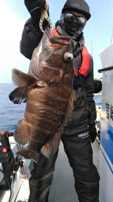 遊漁船 新鋭丸 釣果