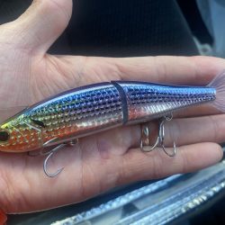 元旦に買ったルアーで‼️