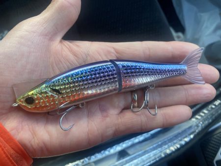 元旦に買ったルアーで‼️