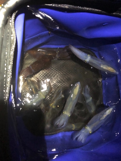 今日も行っちゃいました