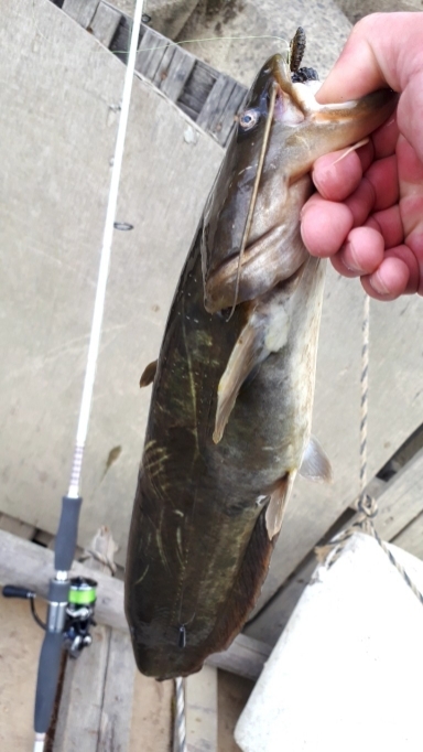 2020年釣り初め！