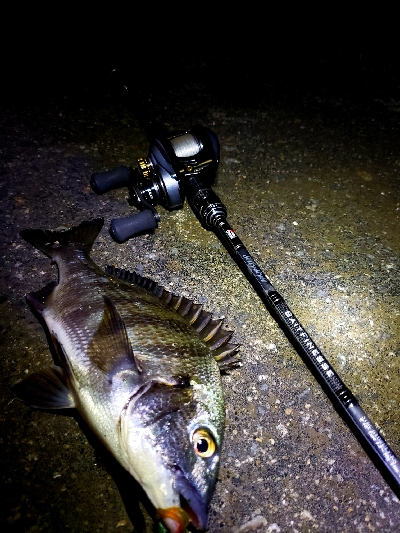 チニングでボコボコ