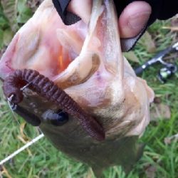 真冬の紀の川本流バス！！