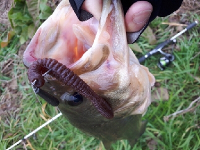 真冬の紀の川本流バス！！