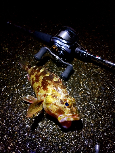 おかっぱりライトゲーム