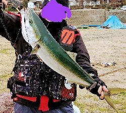 今年初ブリ‼️