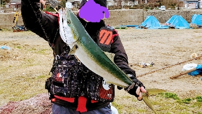 今年初ブリ‼️