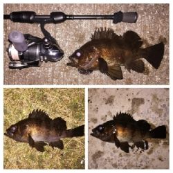 メバリング1835〜2030