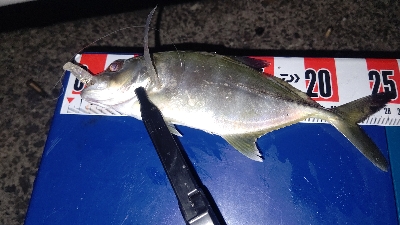 ライトゲーム！