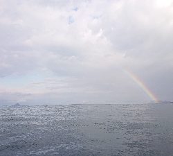 釣り初めは京鰆