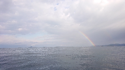 釣り初めは京鰆