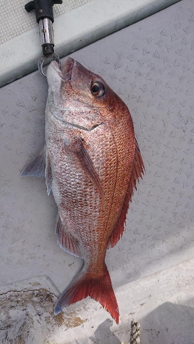 ボートキャスティング