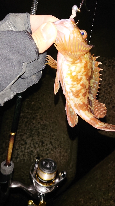 活性高く楽しめた♪