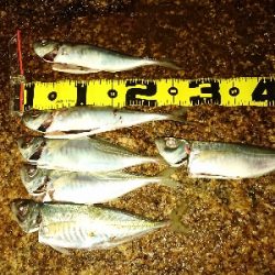 フロートアジング