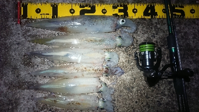 天気が雨予報前に