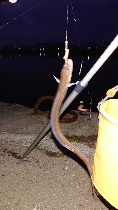 令和 2年  初釣り