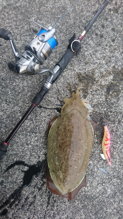 やっと今年一杯目