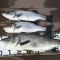 ランカー出ました！