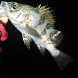 活性が悪いのか!