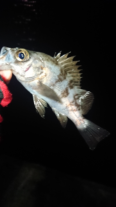 活性が悪いのか！