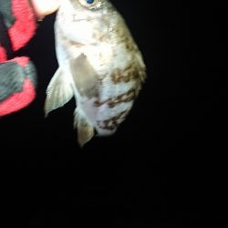 ストラクチャー