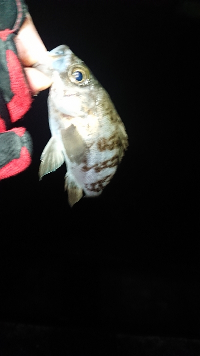 ストラクチャー