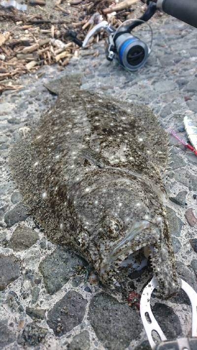 春野漁港周辺サーフ、ショアジギンク