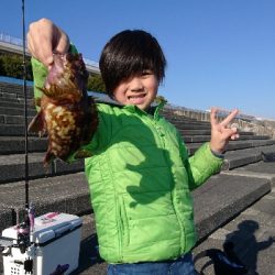 今年も宜しくお願い致します。