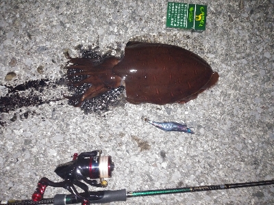 2020年度初シャクリ