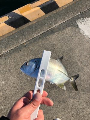 丹生川かこうにてさ