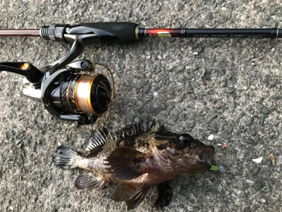 初釣り、そして入魂