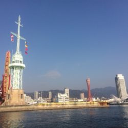 初釣りは和田防でアジ狙い